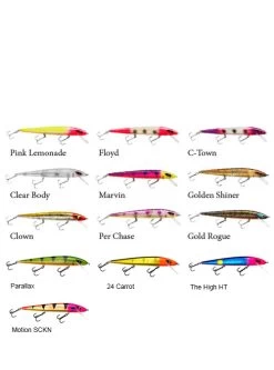 Smithwick Perfect 10 Rogue