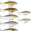Rapala Scatter Rap Shad #7 1 Rapala Scatter Rap Shad #7 -Fishing Supplie Shop scatter rap shad family