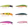 Bay Rat Lures Short Shallow -Fishing Supplie Shop short shallow family
